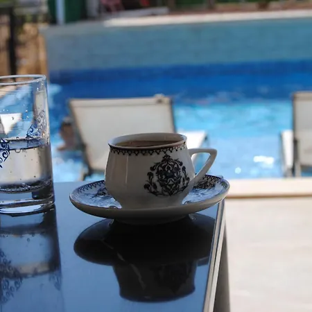 Vila Alkim Kaş
