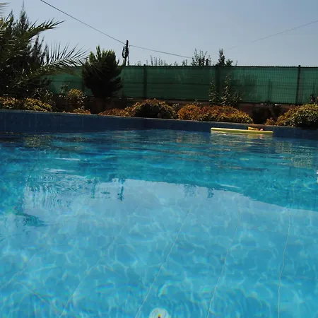 Alkim * Kaş