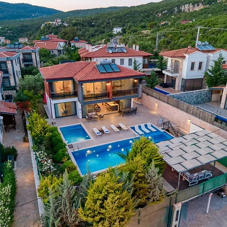Alkim * Kaş