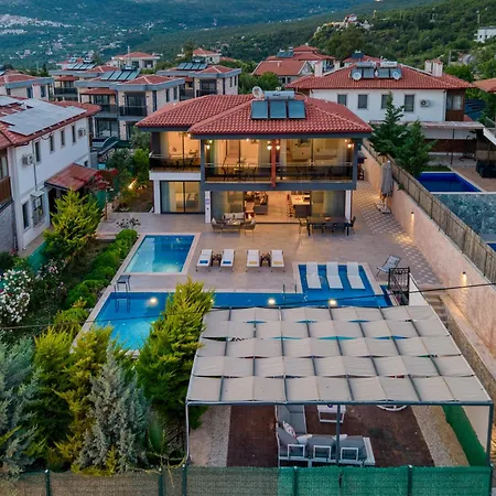 Alkim Vila Kaş